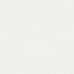 A.S. Creation Meistervlies | 103819 | Papier Peint Intissé Enduit | 0.53 M X 10.05 M | Blanc