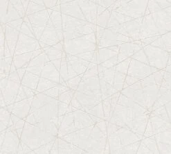 A.S. Creation AS Creation Metropolitan Stories 3 - PAPIER PEINT ASPECT BÉTON GÉOMÉTRIQUE - Crème Métallisé - 1005 X 53 Cm 15 A.S. Creation AS Creation Metropolitan Stories 3 - PAPIER PEINT ASPECT BÉTON GÉOMÉTRIQUE - Crème Métallisé - 1005 X 53 Cm -Décoration d'intérieur 1200x1080 20