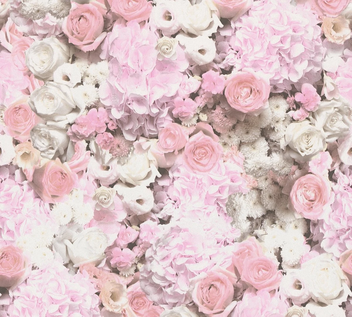 A.S. Creation AS Creation Trendwall 2 - PAPIER PEINT FLORAL ROMANTIQUE - Roses Et Hortensias - Blanc Rose - 1005 X 53 Cm 1 A.S. Creation AS Creation Trendwall 2 - PAPIER PEINT FLORAL ROMANTIQUE - Roses Et Hortensias - Blanc Rose - 1005 X 53 Cm