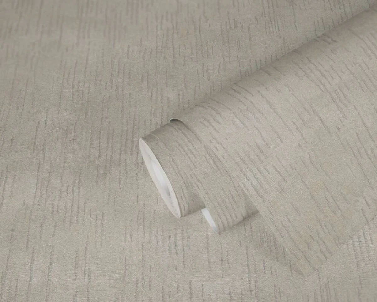 A.S. Creation AS Creation Titanium 3 - Papier Peint Texturé - Bande Métallique Interrompue - Beige Argent - 1005 X 53 Cm 2 A.S. Creation AS Creation Titanium 3 - Papier Peint Texturé - Bande Métallique Interrompue - Beige Argent - 1005 X 53 Cm – Image 2