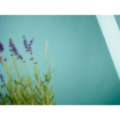 A.S. Creation Meistervlies | 246011 | Papier Peint à Motif Ondulé | 0.53 M X 10.05 M | Blanc -Décoration d'intérieur 246011 5