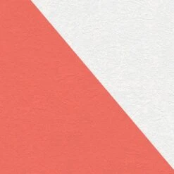 A.S. Creation Meistervlies | 248718 | Papier Peint Intissé Enduit | 0.53 M X 10.05 M | Blanc -Décoration d'intérieur 248718 5