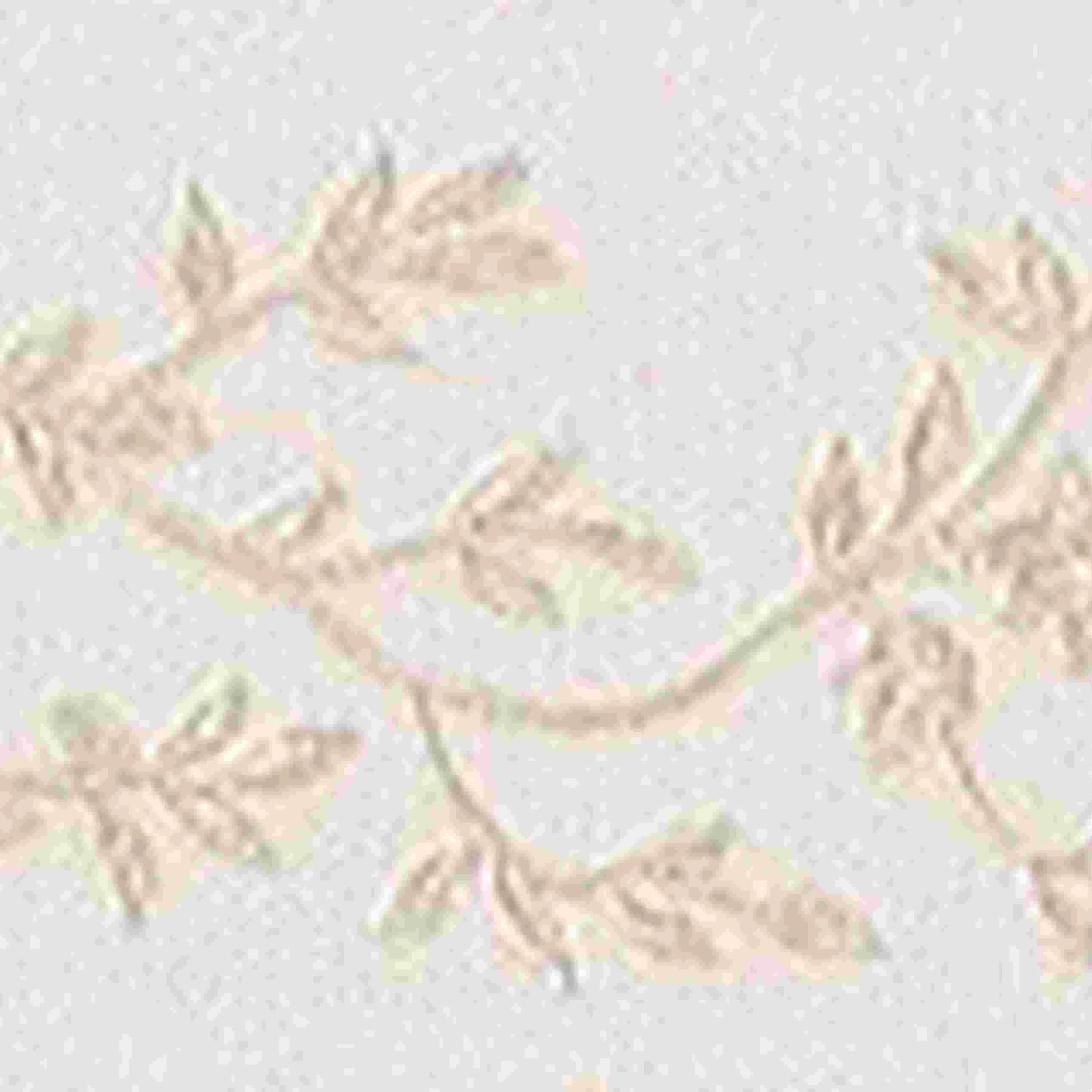 A.S. Creation Only Borders 9 | 302991 | Frise Murale Adhésive | 0.05 M X 5 M | Gris