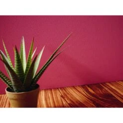 A.S. Creation Meistervlies | 306616 | Papier Peint Intissé Enduit | 0.53 M X 10.05 M | Blanc -Décoration d'intérieur 306616 4