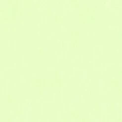 A.S. Creation Boys & Girls 6 | 358343 | Papier Peint Intissé Uni | 0.53 M X 10.05 M | Vert