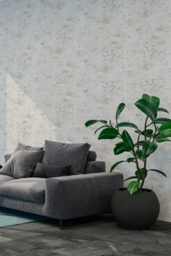 A.S. Creation Elements | 374292 | Papier Peint Intissé Uni | 0.53 M X 10.05 M | Gris 14 A.S. Creation Elements | 374292 | Papier Peint Intissé Uni | 0.53 M X 10.05 M | Gris -Décoration d'intérieur 374292 6