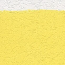 A.S. Creation Meistervlies | 927910 | Papier Peint Intissé Enduit | 1.06 M X 25 M | Blanc 8 A.S. Creation Meistervlies | 927910 | Papier Peint Intissé Enduit | 1.06 M X 25 M | Blanc -Décoration d'intérieur 927910 6