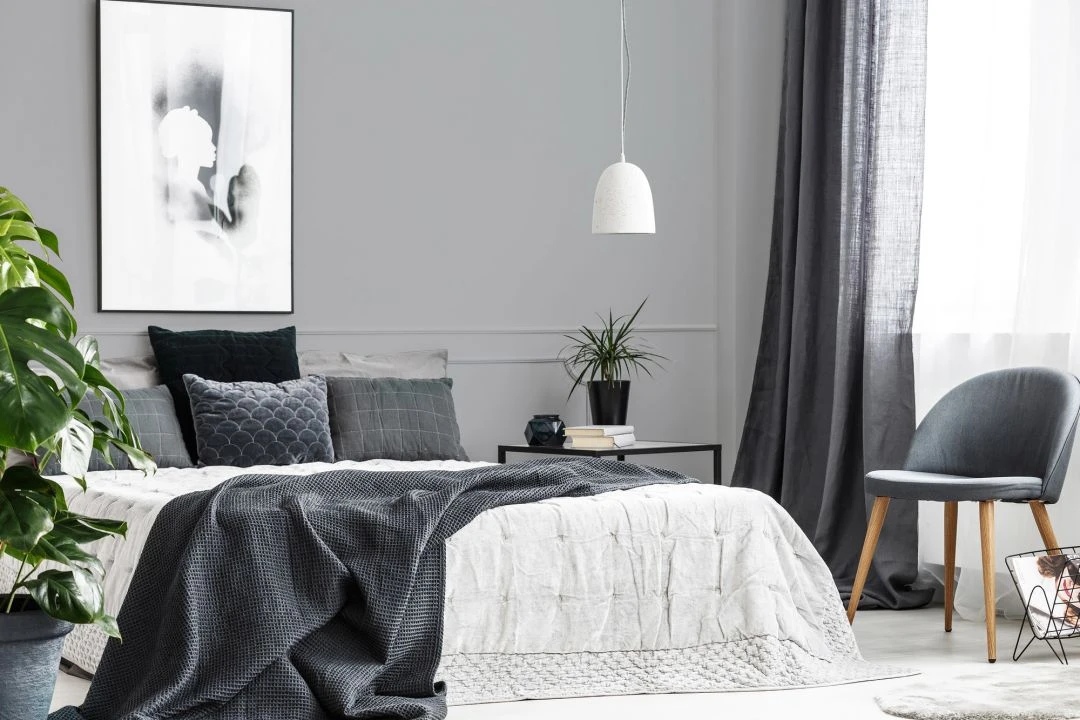 A.S. Creation Peinture Murale Premium Gris - PURO C1002 Cool Gray 3 A.S. Creation Peinture Murale Premium Gris - PURO C1002 Cool Gray – Image 3