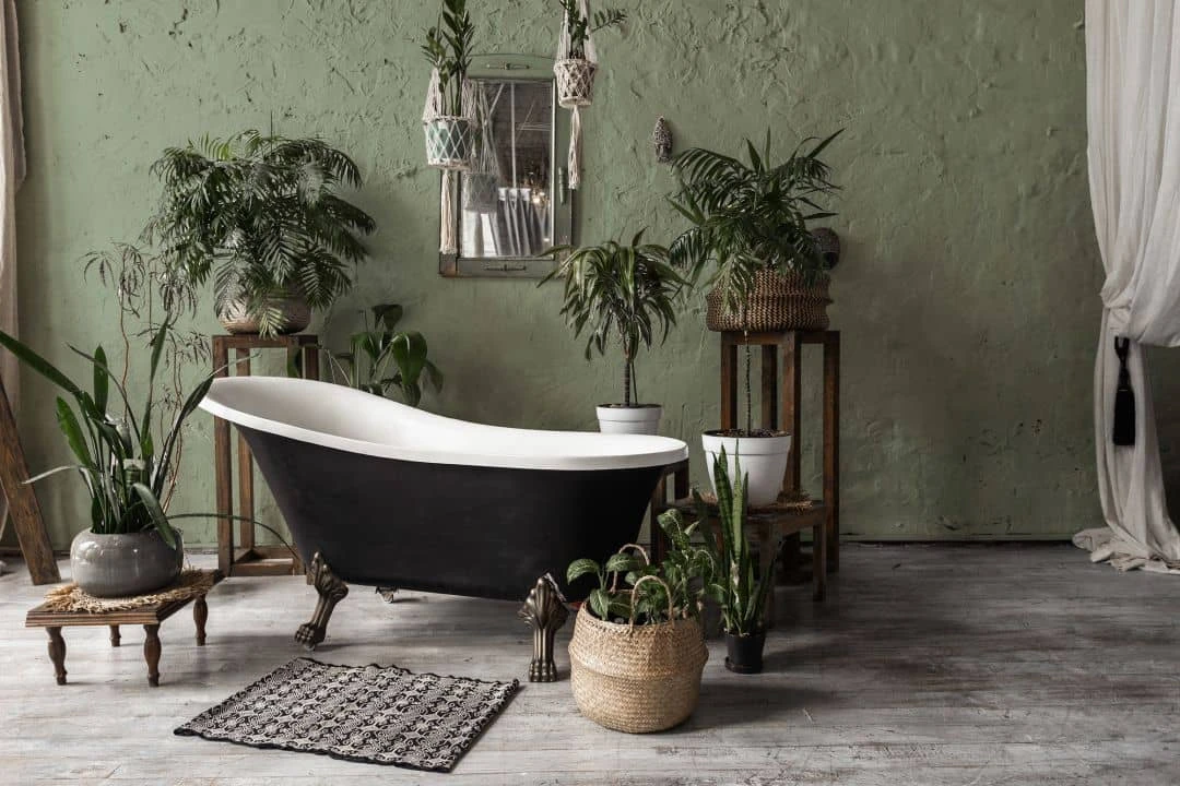 A.S. Creation Peinture Murale Premium Vert - PURO C5002 Vert Sauge 3 A.S. Creation Peinture Murale Premium Vert - PURO C5002 Vert Sauge – Image 3