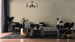 A.S. Creation Peinture Murale Premium Vert - PURO C6004 Chaux Douce -Décoration d'intérieur DD125986 3