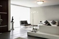 A.S. Creation Peinture Murale Premium Crème - PURO C7007 Marron Doux -Décoration d'intérieur DD126025 3