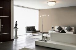 A.S. Creation Peinture Murale Premium Beige - PURO C7015 Marron Apaisant -Décoration d'intérieur DD126049 3