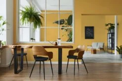 A.S. Creation Peinture Murale Premium Jaune - PURO C8005 Jaune Soleil 7 A.S. Creation Peinture Murale Premium Jaune - PURO C8005 Jaune Soleil -Décoration d'intérieur DD126109 3