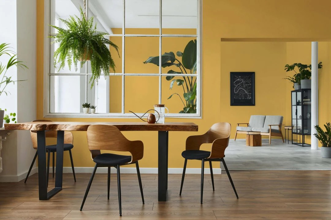 A.S. Creation Peinture Murale Premium Jaune - PURO C8005 Jaune Soleil 3 A.S. Creation Peinture Murale Premium Jaune - PURO C8005 Jaune Soleil – Image 3