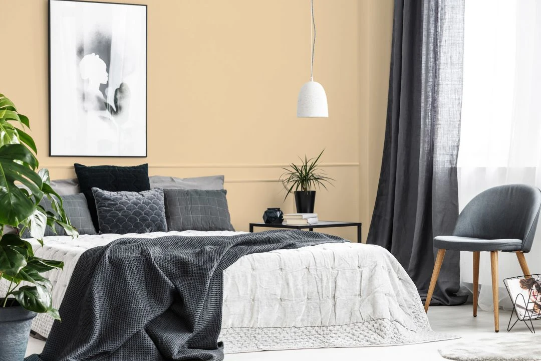 A.S. Creation Peinture Murale Premium Beige - PURO C8009 Safran Lisse 3 A.S. Creation Peinture Murale Premium Beige - PURO C8009 Safran Lisse – Image 3