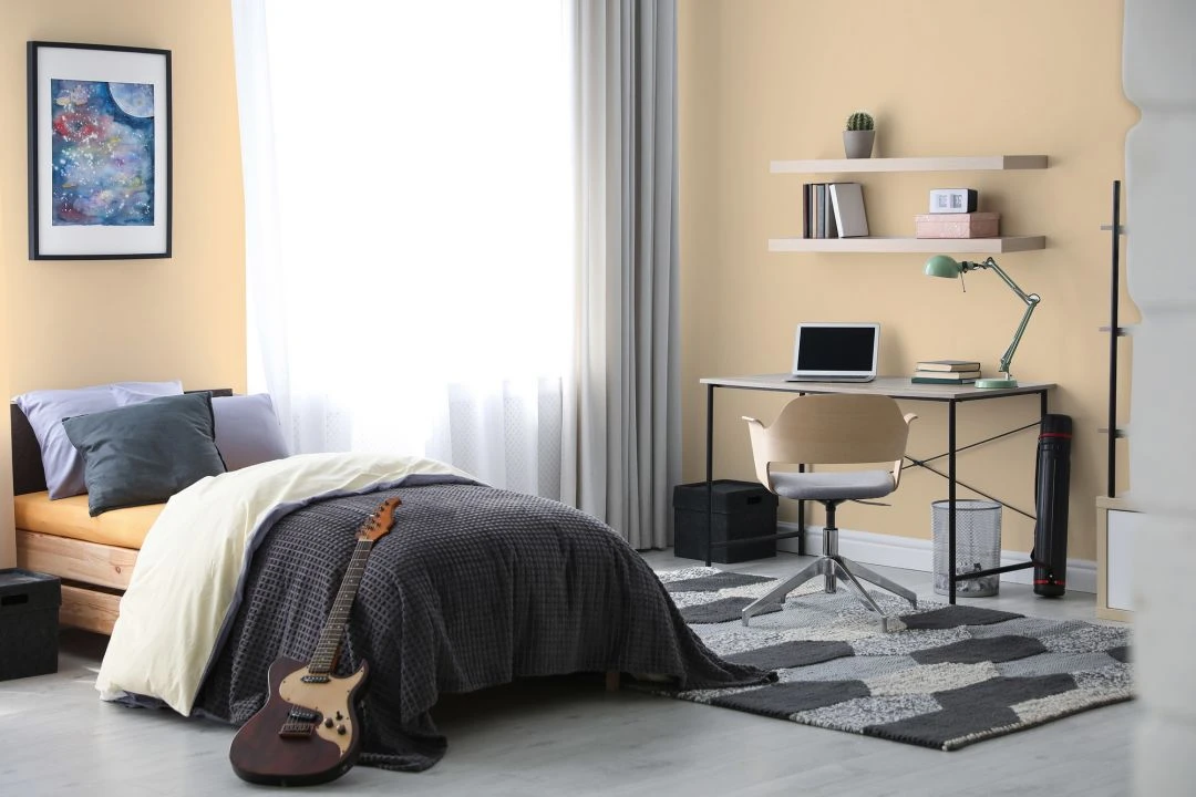 A.S. Creation Peinture Murale Premium Beige - PURO C8009 Safran Lisse 4 A.S. Creation Peinture Murale Premium Beige - PURO C8009 Safran Lisse – Image 4