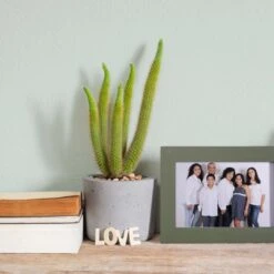 A.S. Creation Peinture Murale Vert Soie Mat - THE COLOR KITCHEN Perky Peppermint -Décoration d'intérieur as creation wandfarbe farbe the color kitchen dd125570 ambiente5