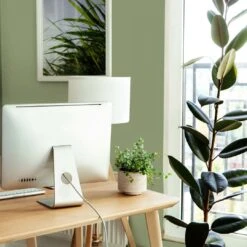 A.S. Creation Peinture Murale Vert Soie Mat - THE COLOR KITCHEN Balmy Basil 11 A.S. Creation Peinture Murale Vert Soie Mat - THE COLOR KITCHEN Balmy Basil -Décoration d'intérieur as creation wandfarbe farbe the color kitchen dd125602 ambiente3