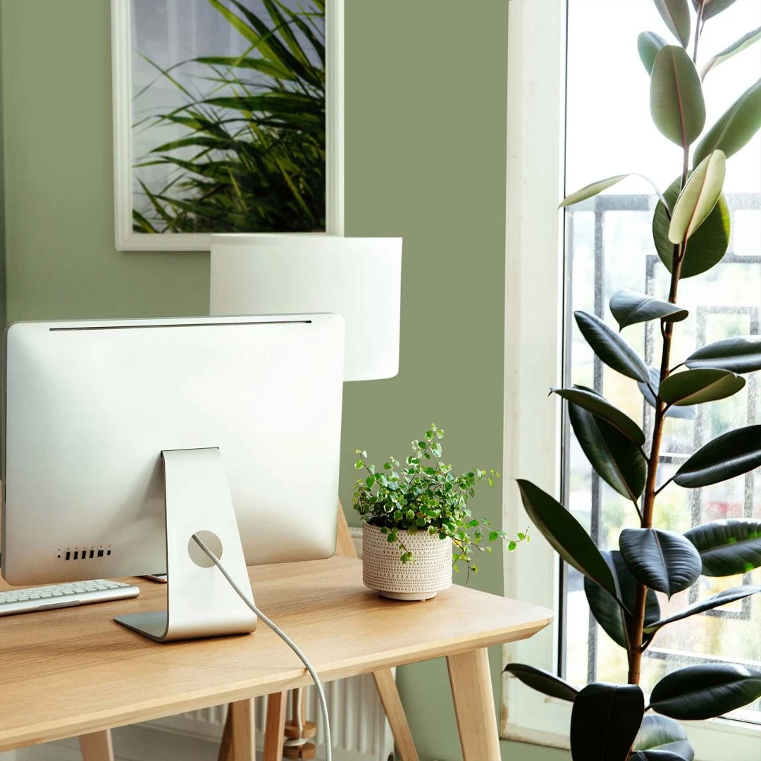 A.S. Creation Peinture Murale Vert Soie Mat - THE COLOR KITCHEN Balmy Basil 3 A.S. Creation Peinture Murale Vert Soie Mat - THE COLOR KITCHEN Balmy Basil – Image 3