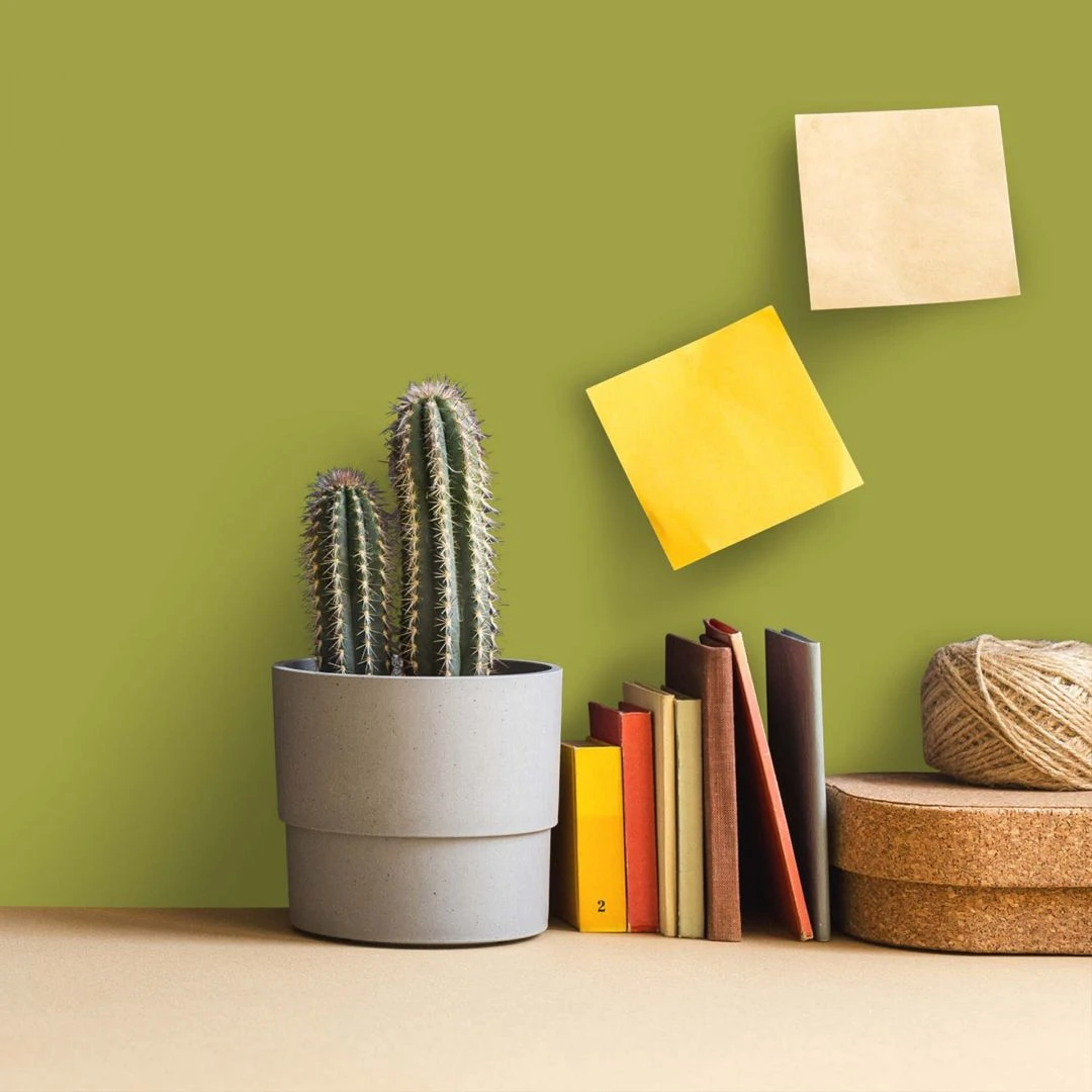 A.S. Creation Peinture Murale Vert Soie Mat - THE COLOR KITCHEN Kitchy Kiwi 3 A.S. Creation Peinture Murale Vert Soie Mat - THE COLOR KITCHEN Kitchy Kiwi – Image 3