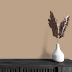 A.S. Creation Peinture Murale Marron Soyeux Mat - THE COLOR KITCHEN Friendly Fennel 11 A.S. Creation Peinture Murale Marron Soyeux Mat - THE COLOR KITCHEN Friendly Fennel -Décoration d'intérieur as creation wandfarbe farbe the color kitchen dd125670 ambiente4