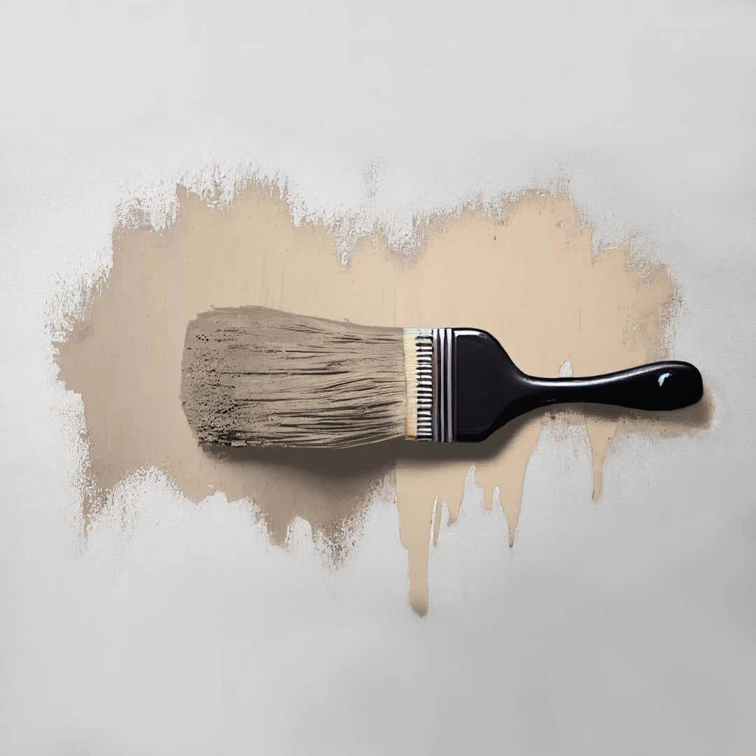 A.S. Creation Peinture Murale Beige Satiné Mat - THE COLOR KITCHEN Nutty Nutmeg 6 A.S. Creation Peinture Murale Beige Satiné Mat - THE COLOR KITCHEN Nutty Nutmeg – Image 6