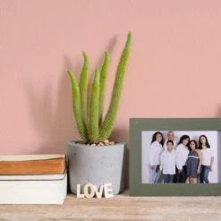 A.S. Creation Peinture Murale Rose Satiné Mat - THE COLOR KITCHEN Lucky Litchi -Décoration d'intérieur as creation wandfarbe farbe the color kitchen dd125712 ambiente5