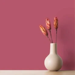 A.S. Creation Peinture Murale Rose Satiné Mat - THE COLOR KITCHEN Rosy Framboise -Décoration d'intérieur as creation wandfarbe farbe the color kitchen dd125728 ambiente5